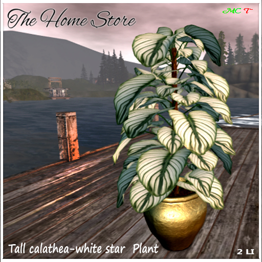 Second Life Marketplace Planter